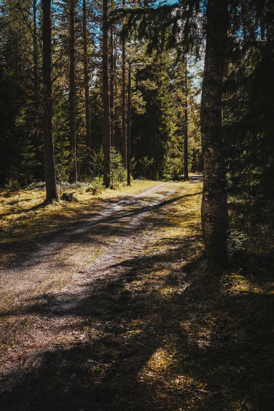 Dag 163 / Day 163