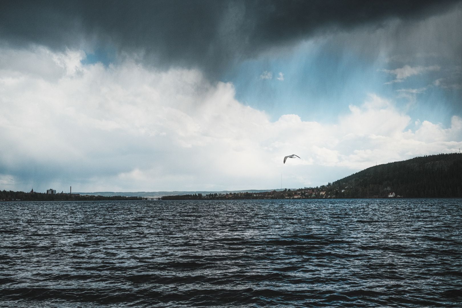 Dag 161 / Day 161