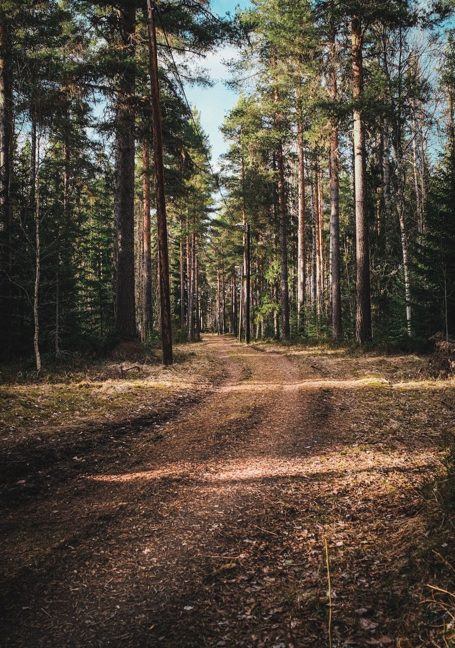 Dag 150 / Day 150