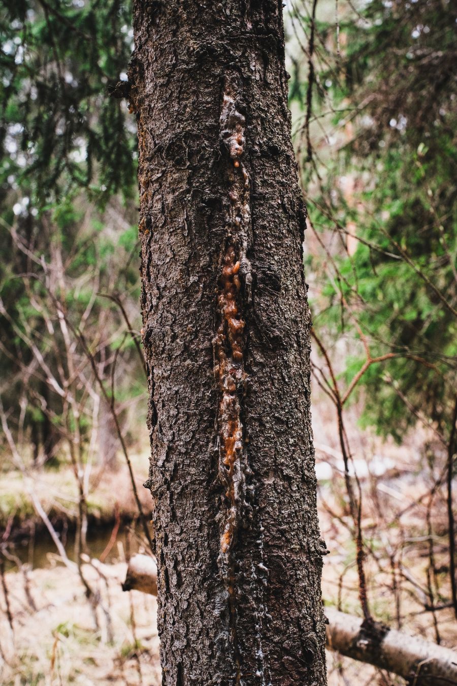 Dag 148 / Day 148