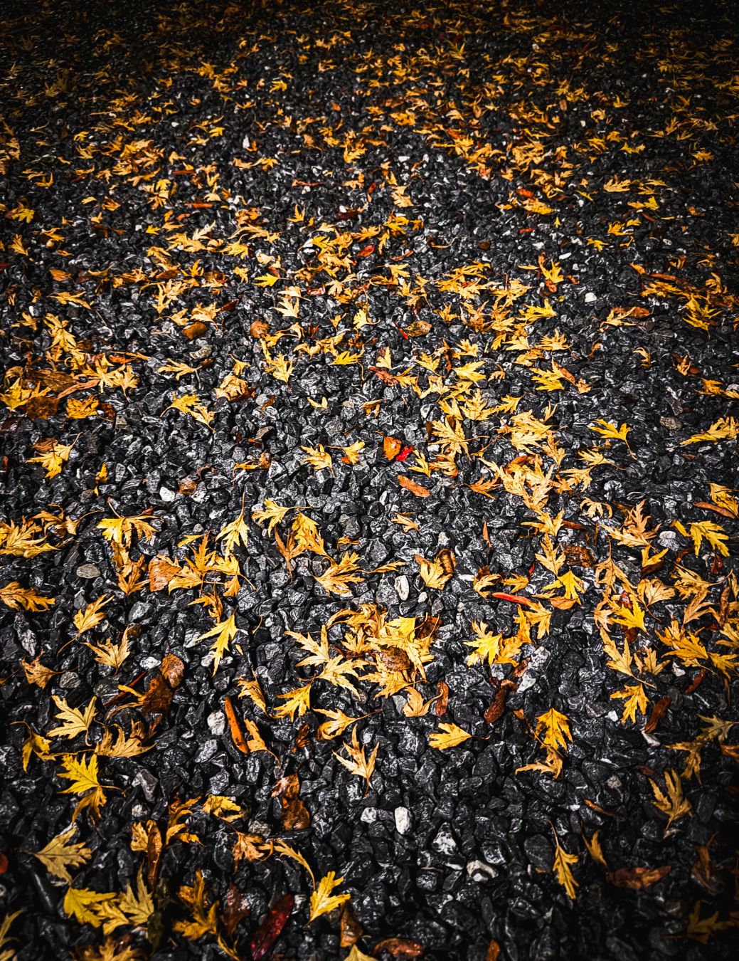 Dag 301 / Day 301