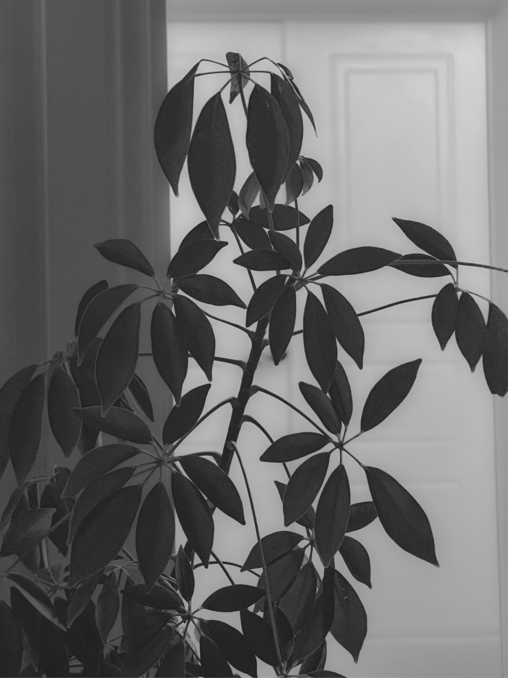 Dag 125 / Day 125