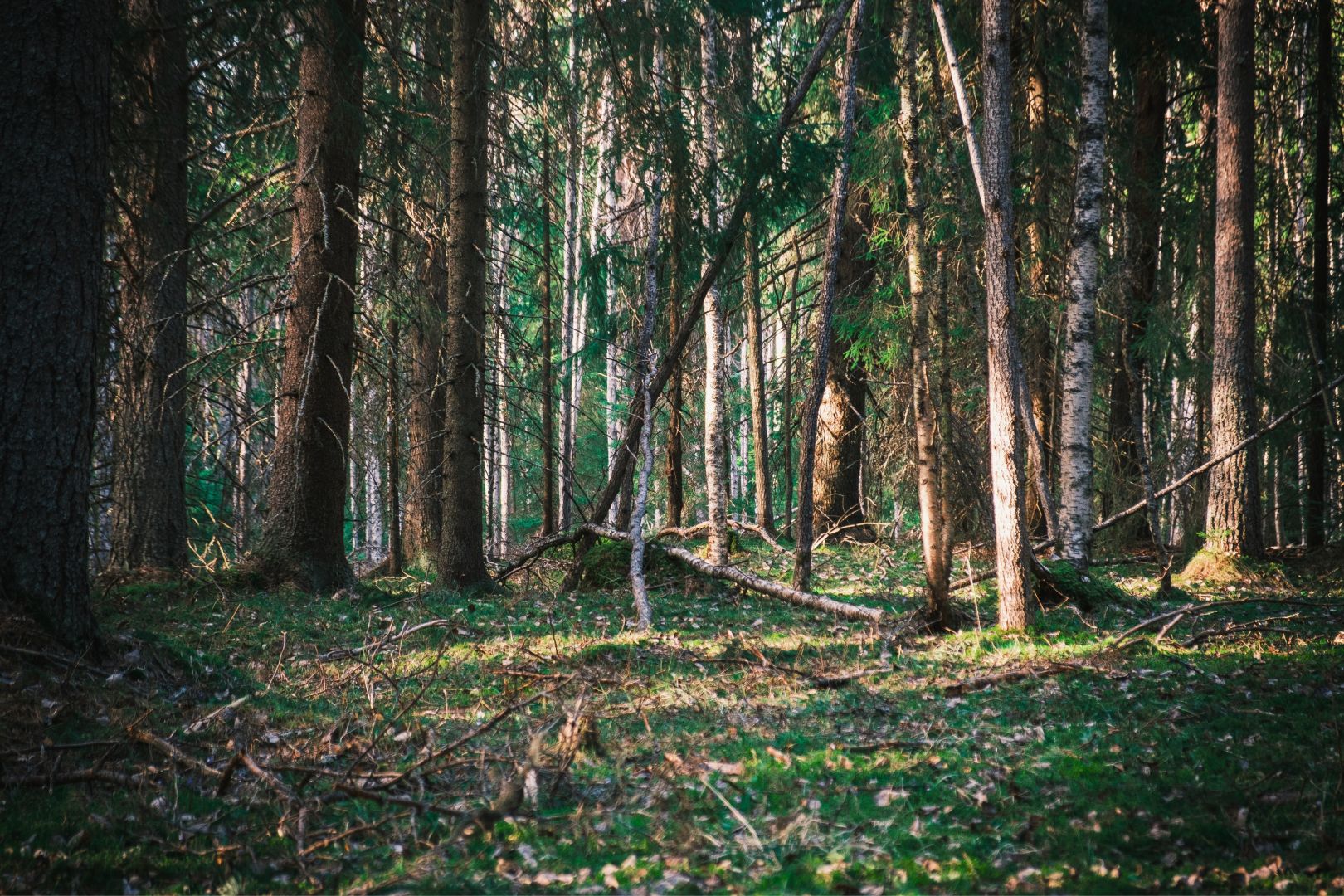 Dag 143 / Day 143