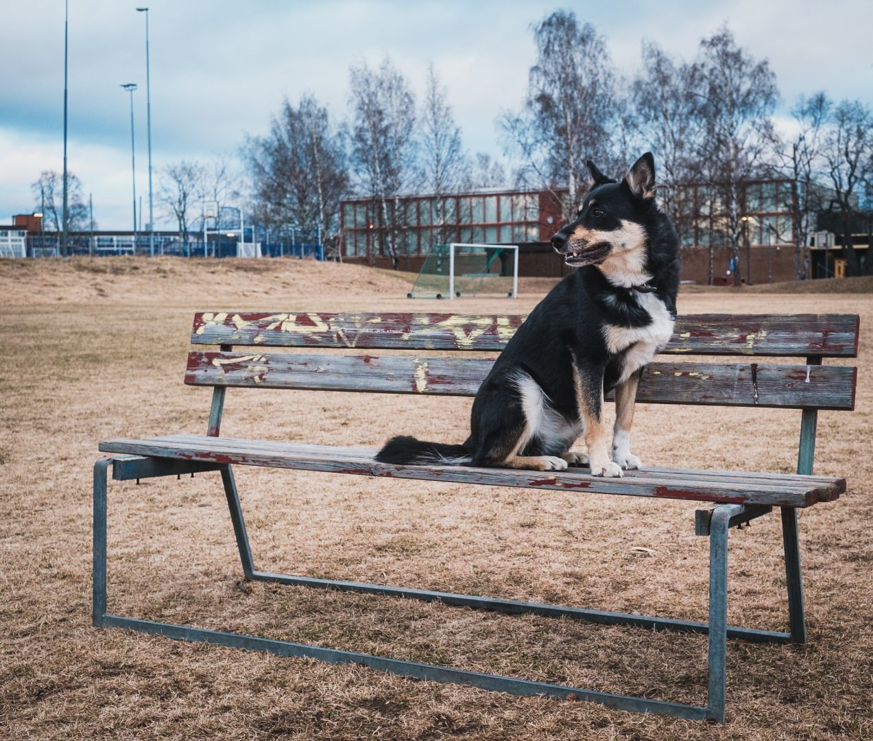 Dag 139 / Day 139