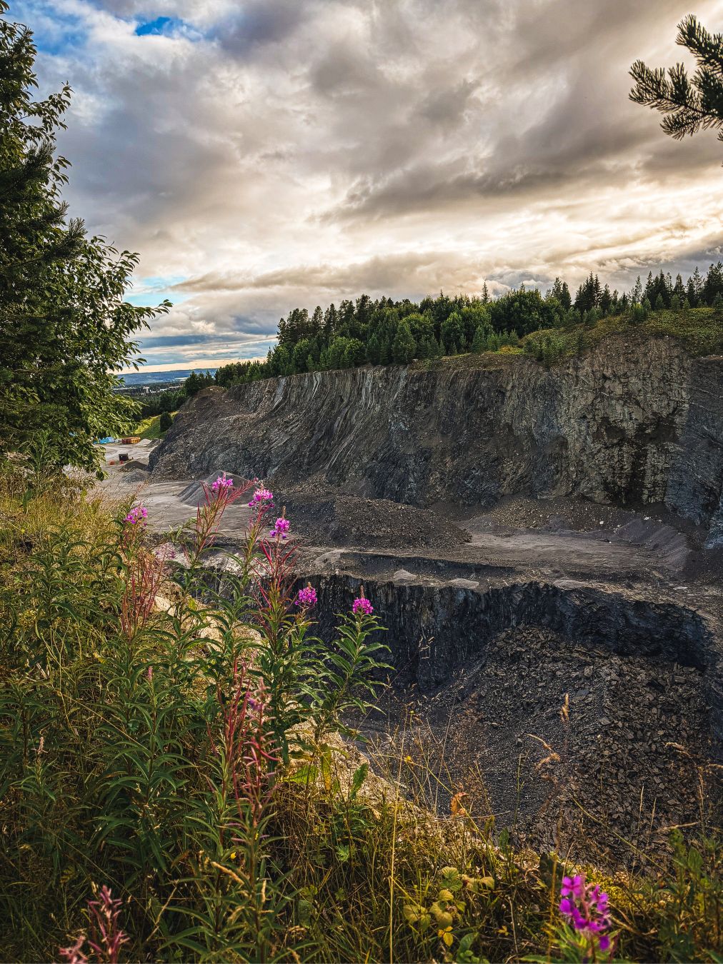 A large open quarry with layered, dark rock walls stretches across the frame, edged by forest at the top and topped by a dramatic cloudy sky. In the foreground, tall pink fireweed flowers grow among grasses on a grassy slope overlooking the quarry.