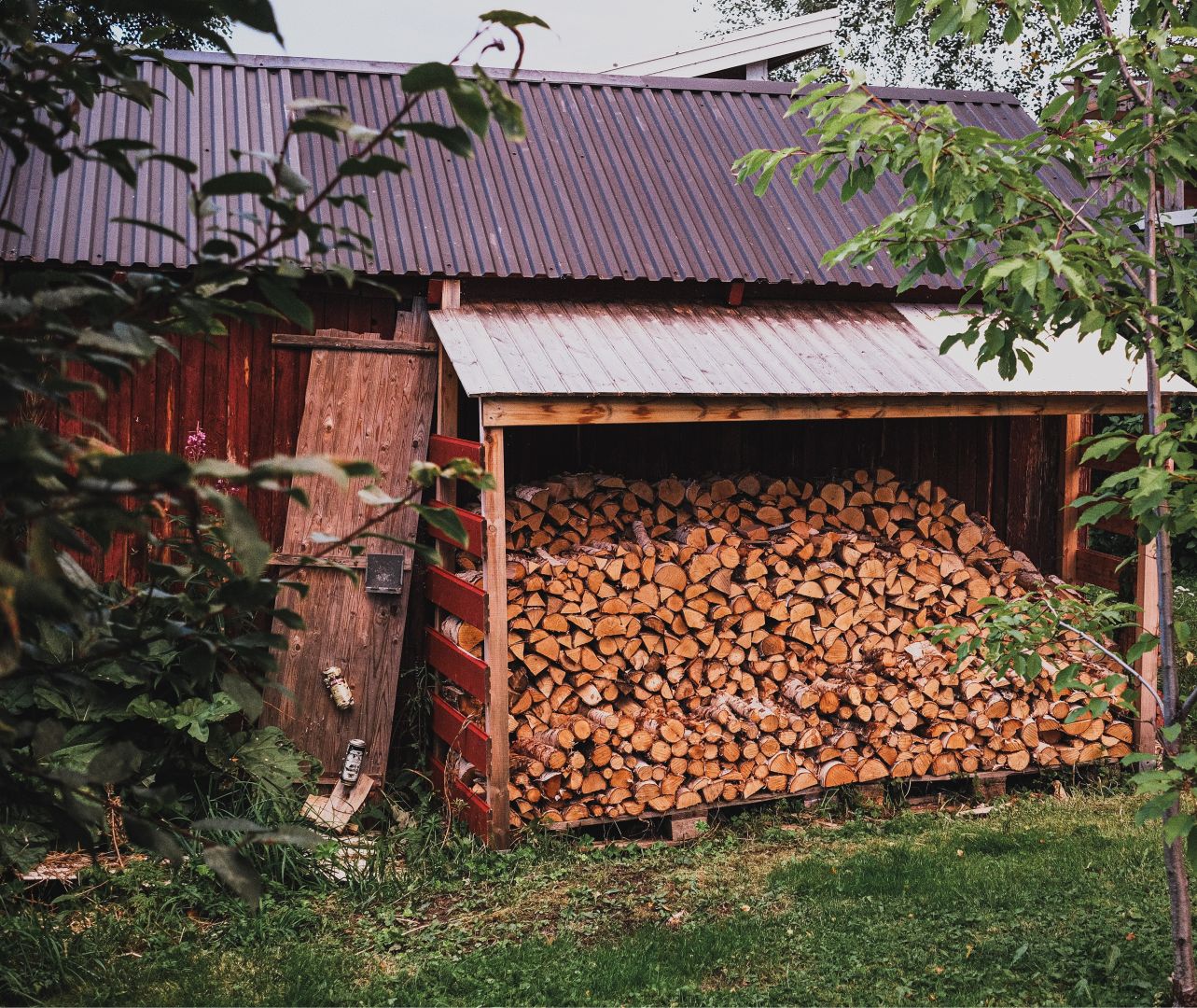 A wooden shed with a corrugated metal roof stands full of neatly stacked firewood, seen through overhanging tree branches. The shed’s dark wood exterior contrasts with the pale, freshly cut logs inside, set in a green garden.