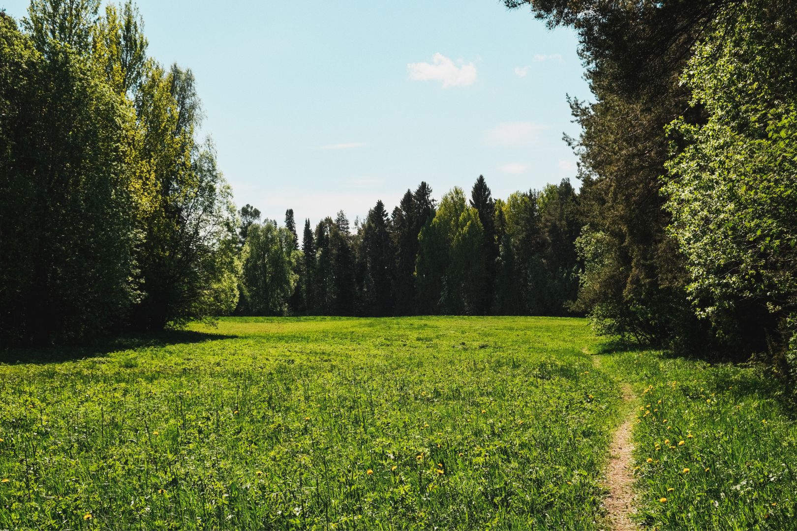 Dag 178 / Day 178