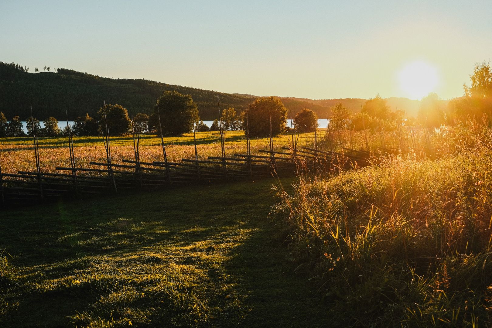A traditional wooden zigzag fence stretches along a golden meadow at sunset, with tall grasses catching warm backlight on the right. Trees, a lake, and low hills fill the background under a clear sky, with the sun low on the horizon casting long shadows.