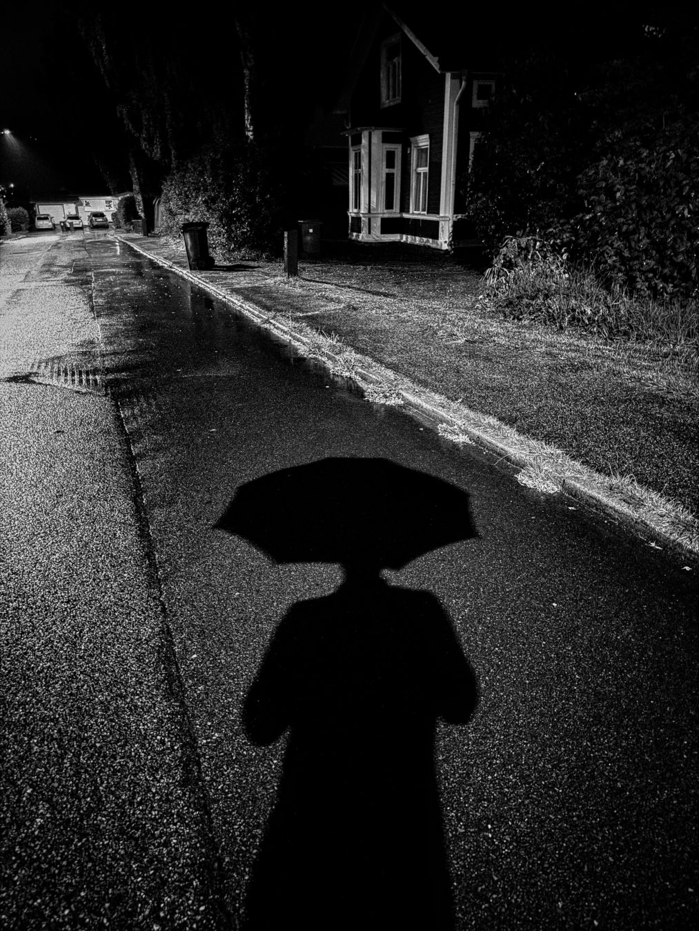 A black and white image of a person’s dark silhouette cast on a wet street, holding an umbrella, walking at night. A softly lit wooden house and street lamp glow faintly in the background along the rain-soaked road.