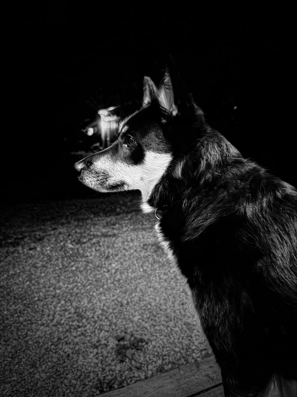 Dag 293 / Day 293