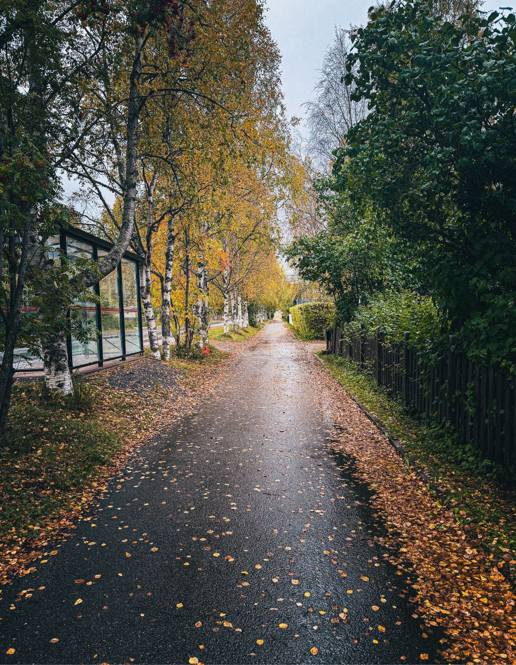 Dag 288 / Day 288